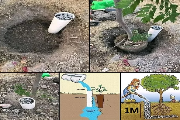 Optimisez l’Arrosage de Votre Jardin avec l’Ingéniosité des Tuyaux en PVC : Une Approche Intelligente pour Économiser l’Eau et Simplifier l’Entretien des Plantes